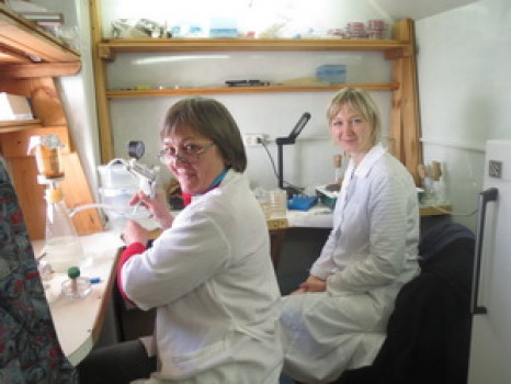 в лаборатории залескина НВ Суханова ЕВ_resize